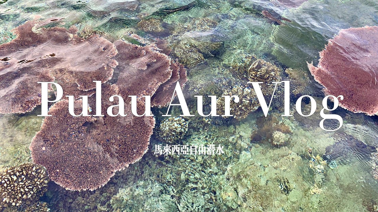 Pulau Aur | 潜入马来西亚柔佛最美的隐世小岛