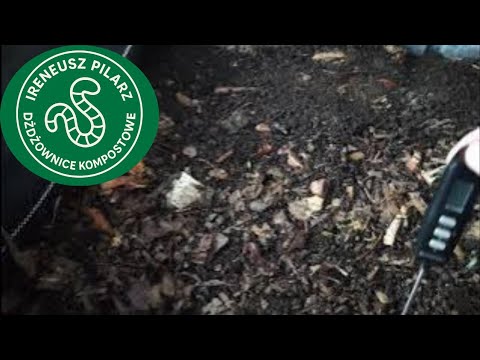 Minus 15°C outside – what is the temperature in the vermicomposting plant?