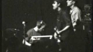 tied + tickled trio - rara avis
