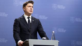 Beda pirštu į lyderystės neturintį M. Sinkevičių: įvardijo, kur pagrindinė kliūtis