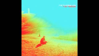 The Flaming Lips - You Lust