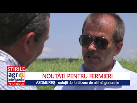 Fertilizarea rapiței. Schema cu îngrășăminte de la Azomureș