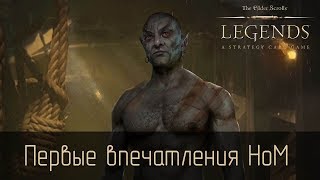 Первые впечатления от Houses of Morrowind