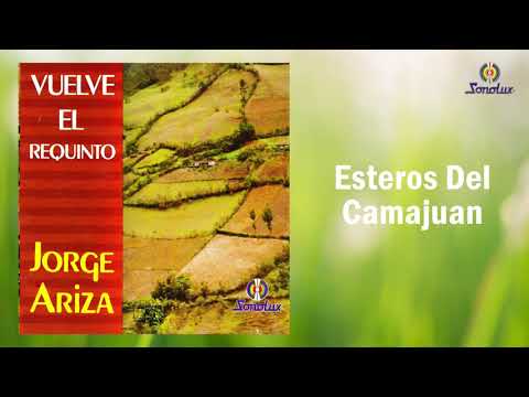 Esteros Del Camajuan - Jorge Ariza | Carranga | Cover Audio