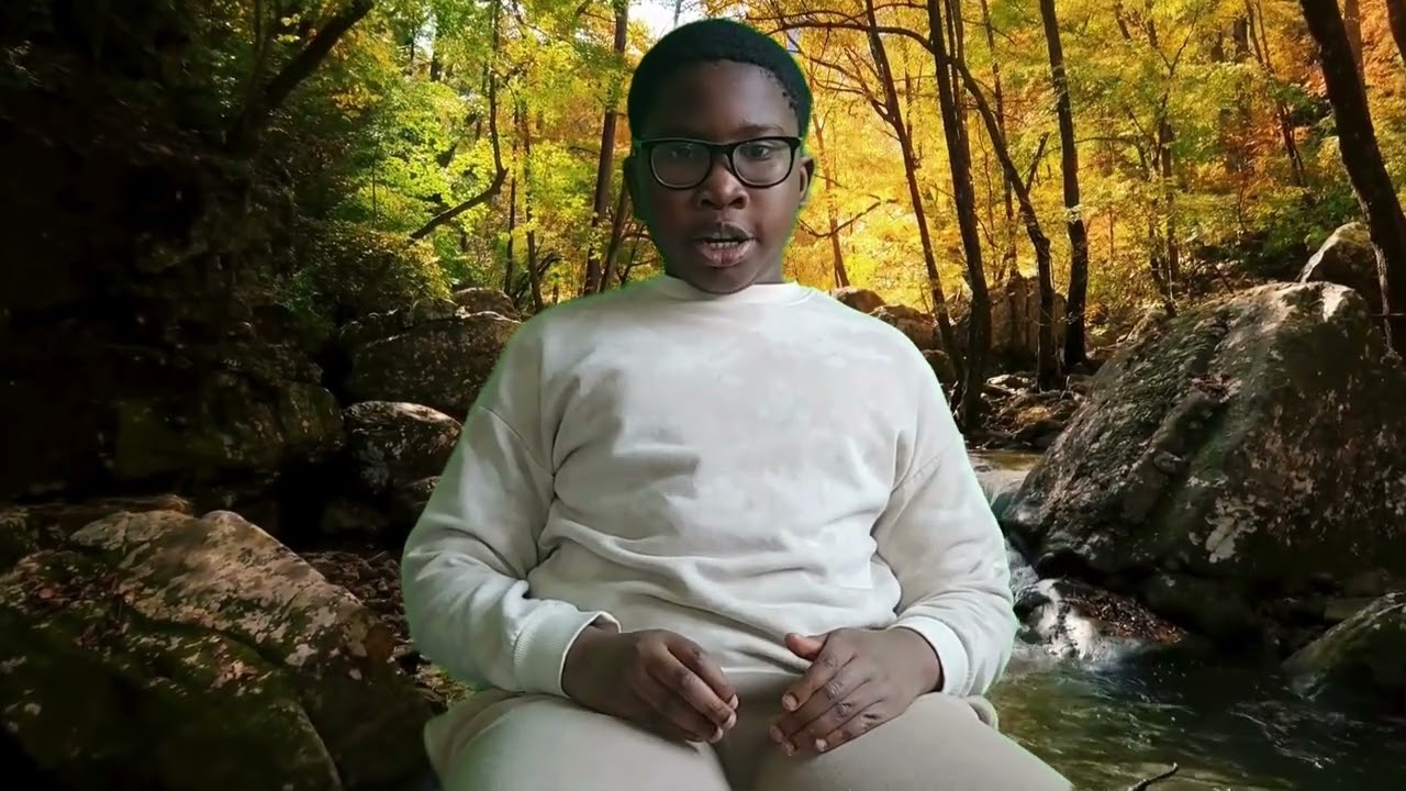 La Clean Energie Revelution by Ben C. and Roinel A. (Mountsfield Public School Grade 6)