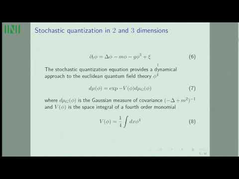 SRQW02 | Giovanni Jona-Lasinio | Some questions and remarks on the theory of singular stochastic PDE