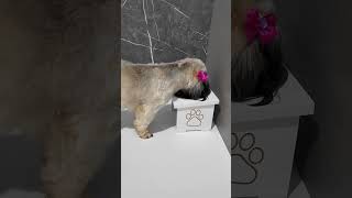 Vídeo sobre o produto