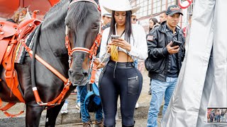 1000 JAW-DROPPING WOMEN  In One Video | #horseriding #stunningwomen #curvy