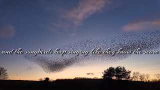 Songbird- Eva Cassidy with Lyrics