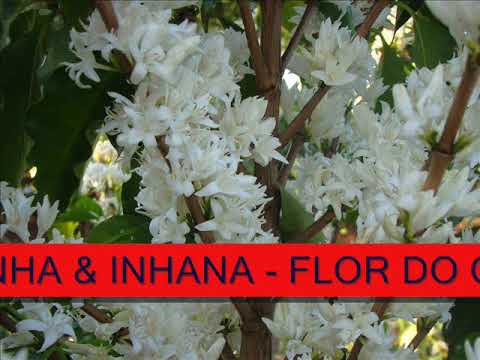 CASCATINHA & INHANA - FLOR DO CAFEZAL