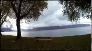 Despertar junto a un lago