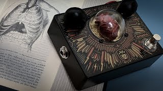 Video thumbnail for More Than...Dr No Effects TVL (Troy Van Leeuwen) Octavia by 15 Second Gear Demo