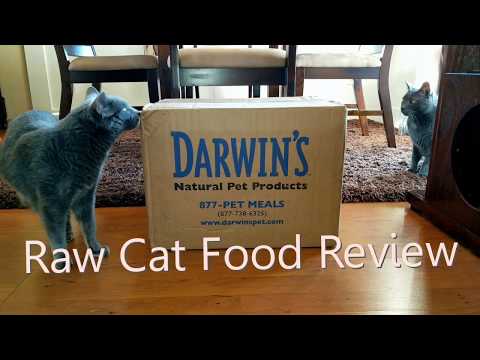 Darwin's Natural Pet Products Natural Selections Raw Cat Food Review