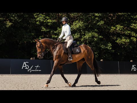 Instant Love M - Profile