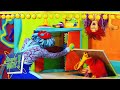 Can T Find Moe The Doodlebops WildBrain Movies For Kids