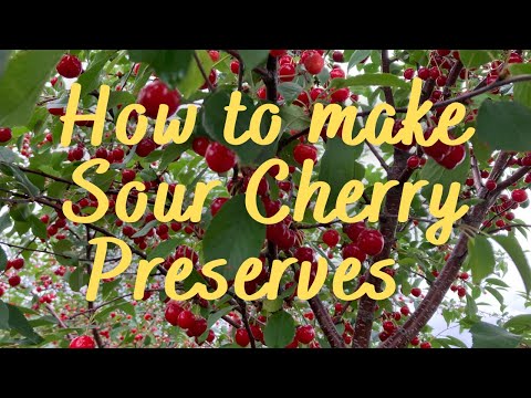 How to make Sour Cherry Preserves | Tart Cherries Recipe