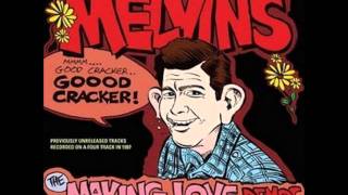 Melvins - We Got Worries Here