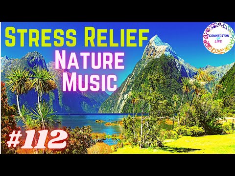 Nature Music For Positive Energy And Motivation | Stress Relief Nature Music | Calming Music#112