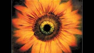 Lost Lullaby- Lacuna Coil