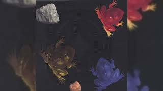Merzbow - Frog+ [2003]