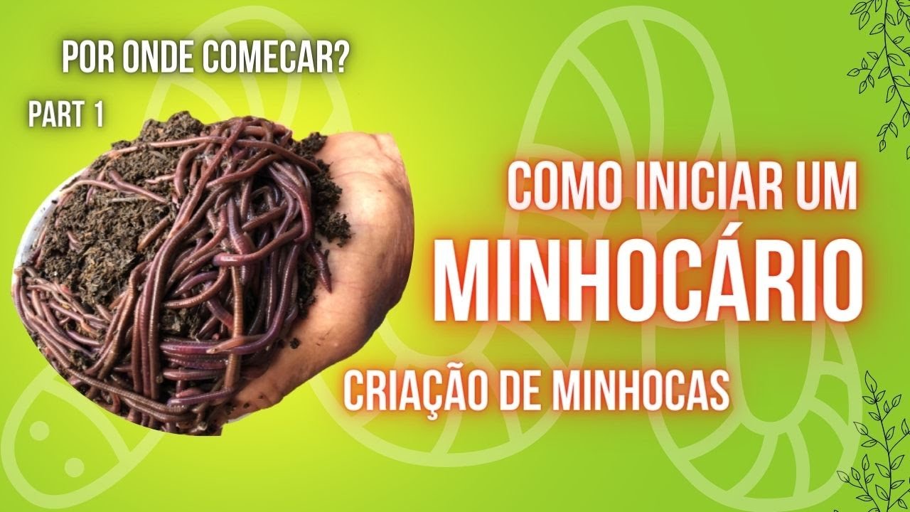 Como Iniciar uma Criação de Minhocas/Minhocario. Primeiros Passos.