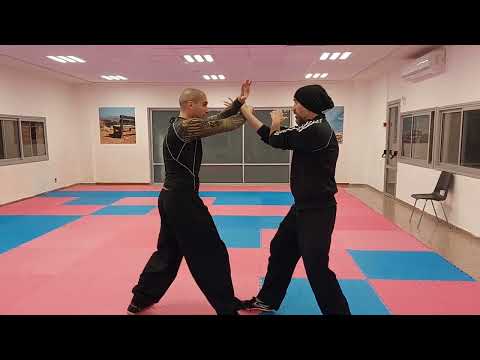 piercing hand combo applications, baguazhang.