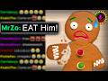 I Let My Chat Build A Gingerbread House They Failed