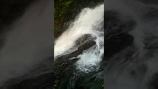 preview picture of video 'Vibhuti fall (ವಿಭೂತಿ ಜಲಪಾತ) top view'