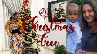 Our Christmas Tree | Anjula Rajapaksha | Merry Christmas