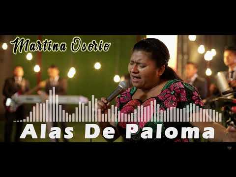 Alas De Paloma / Feat / Martina Osorio / Rcdo De San Pedro Soloma