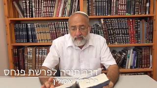 פרשת פנחס: מידת הקנאות של פנחס