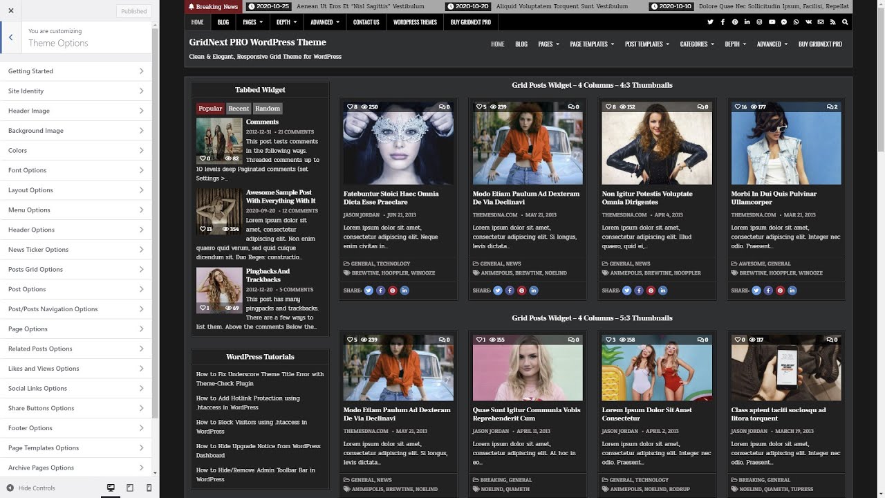 Customizer Theme Options - GridNext PRO WordPress Theme