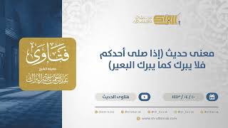 صورة معنى حديث (إذا صلى أحدكم فلا يبرك كما يبرك البعير) - الشيخ عبدالرحمن البراك (12741)