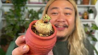 22 of the Best Plants - ‘22