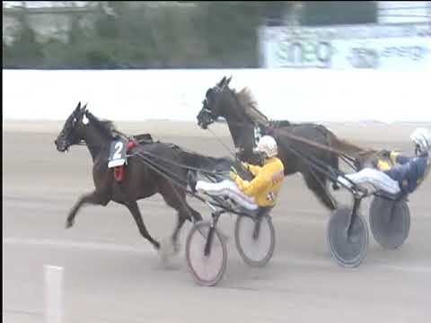 Trotto 14/04/2019 - 5ª corsa