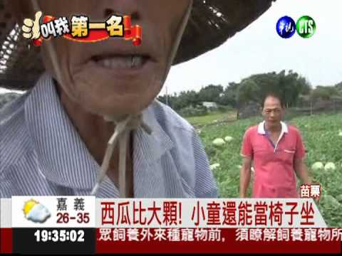 最會種大西瓜! 父子奪冠常勝軍