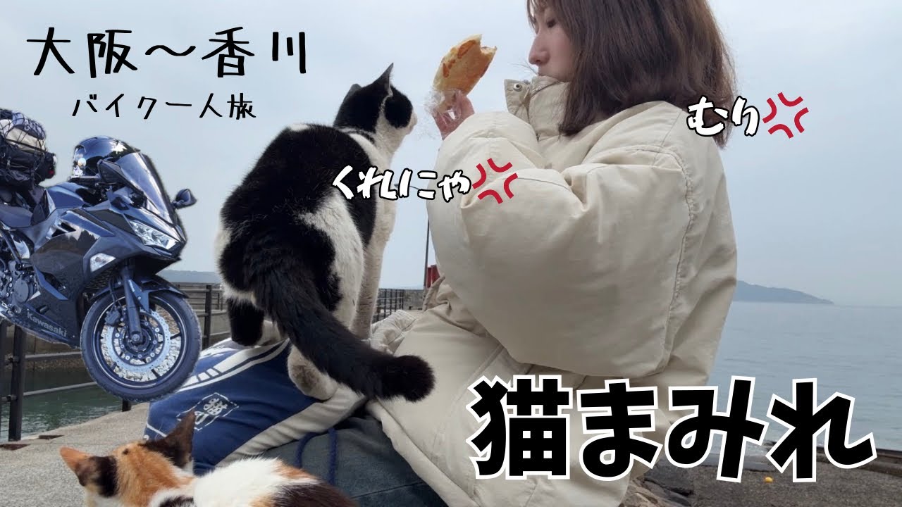 【佐柳島】人より猫が多い島。想像以上に幸せだった