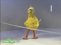 Sesame Street Elmo S World 1632