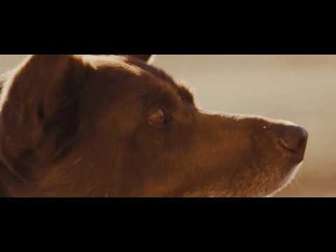 Chribstar - The History of Red Dog