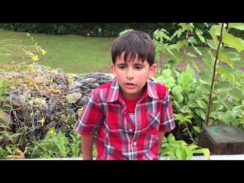 Naser Singing happy birthday