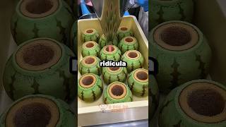 Tentaram me incriminar 📸😂 #reddit #shorts