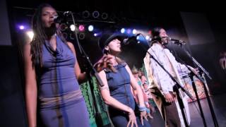 Secret Agent 23 Skidoo - "Magic Beans" LIVE