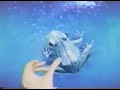 Dentyne Ice Frog Commercial 2008
