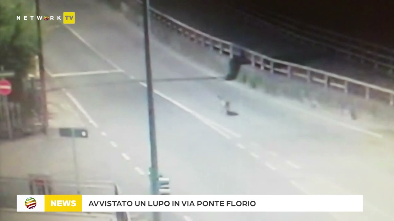 Descrizione dell'immagine