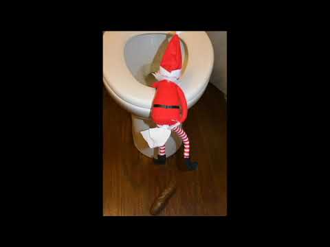 Elfie being bad around the house!   (Elves Behavin Badly)