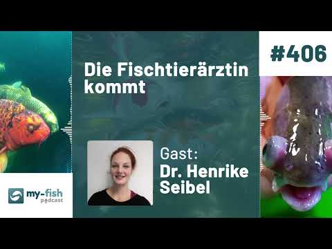 my-fish.org - The fish vet is coming - What do I need to pay attention to in my pond? (Dr. H. Sei...