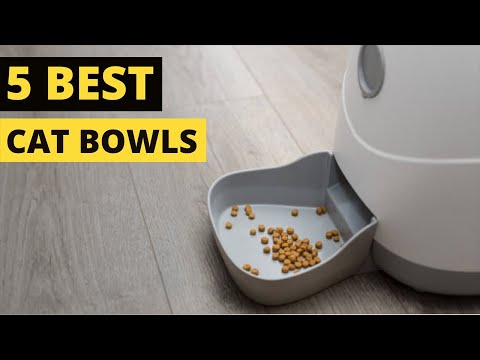 TOP 5: Best Cat Bowls | Cat Feeding Bowl