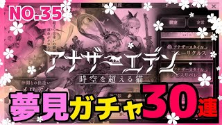 夢見ガチャ30連　No.35アナザーエデン#夢見ガチャ