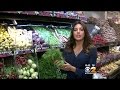 Fresh Grocer Dill