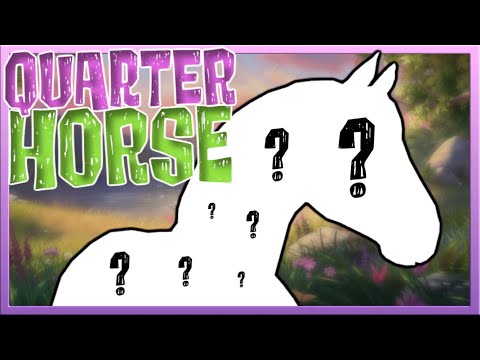 Wir KAUFEN uns ein QUARTER HORSE 🐴💛 Star Stable Pferdekauf [SSO]